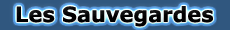 Sauvegarde